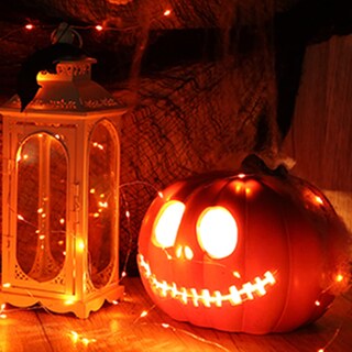 Foto 2 | Foto 2 | Cadena De Luces Yiaht Orange Halloween 7 M 20 Led - Venta Internacional.