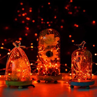 Foto 5 | Foto 5 | Cadena De Luces Yiaht Orange Halloween 7 M 20 Led - Venta Internacional.