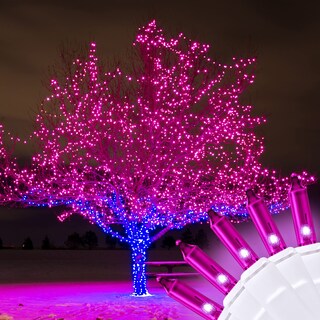 Foto 3 | Foto 3 | Cadena De Luces Holiday Essence Purple Christmas 20 6 M 100 - Venta Internacional.