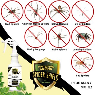 Foto 2 | Foto 2 | Espray Repelente Y Asesino De Arañas Natural Armor 3 8 L - Venta Internacional.