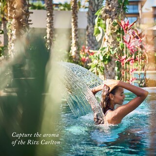Foto 6 | Foto 6 | Cartucho Difusor De Aromas The Ritz-carlton Island Memories - Venta Internacional.