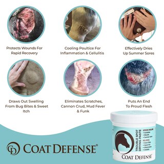 Foto 2 | Foto 2 | Pasta Secante Para El Cuidado De Heridas Coat Defense Trouble Spot 300 Ml Horses - Venta Internacional.