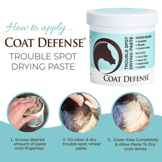 Foto 4 | Foto 4 | Pasta Secante Para El Cuidado De Heridas Coat Defense Trouble Spot 300 Ml Horses - Venta Internacional.