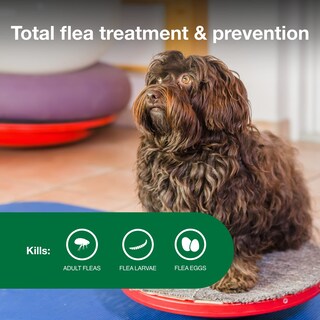 Foto 4 | Foto 4 | Tratamiento Y Prevención De Pulgas Advantage Ii Para Perros Pequeños De 3 A 10 Libras - Venta Internacional.