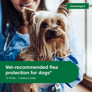 Foto 5 | Foto 5 | Tratamiento Y Prevención De Pulgas Advantage Ii Para Perros Pequeños De 3 A 10 Libras - Venta Internacional.
