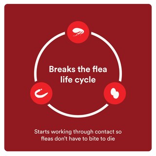 Foto 6 | Foto 6 | Prevención De Pulgas Y Garrapatas Para Perros Advecta Ultra 4 Month - Venta Internacional.