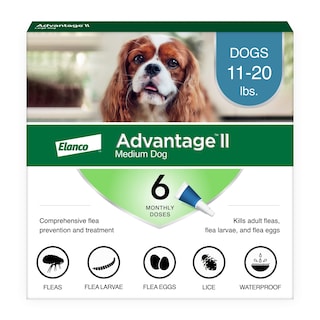 Foto 1 | Foto 1 | Tratamiento Y Prevención De Pulgas Advantage Ii Para Perros Medianos - Venta Internacional.