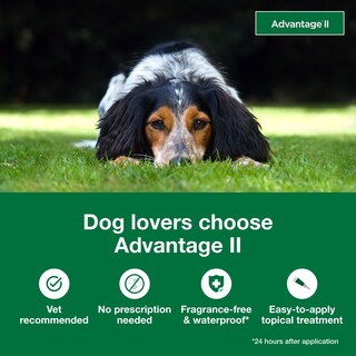Foto 3 | Foto 3 | Tratamiento Y Prevención De Pulgas Advantage Ii Para Perros Medianos - Venta Internacional.