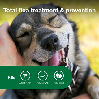 Foto 4 | Foto 4 | Tratamiento Y Prevención De Pulgas Advantage Ii Para Perros Medianos - Venta Internacional.