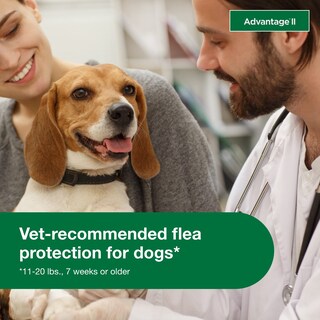 Foto 5 | Foto 5 | Tratamiento Y Prevención De Pulgas Advantage Ii Para Perros Medianos - Venta Internacional.