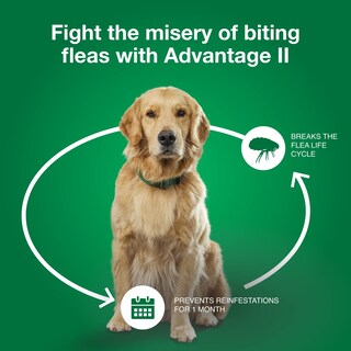 Foto 7 | Foto 7 | Tratamiento Y Prevención De Pulgas Advantage Ii Para Perros Medianos - Venta Internacional.
