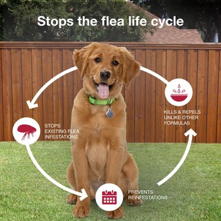 Foto 7 | Foto 7 | Tratamiento Contra Pulgas Garrapatas Y Mosquitos K9 Advantix Ii Para Perros Medianos - Venta Internacional.