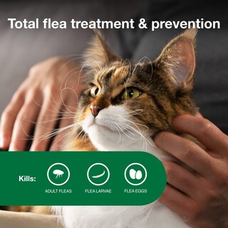 Foto 3 | Foto 3 | Tratamiento Y Prevención De Pulgas Advantage Ii Para Gatos Grandes De 9 Libras O Más - Venta Internacional.