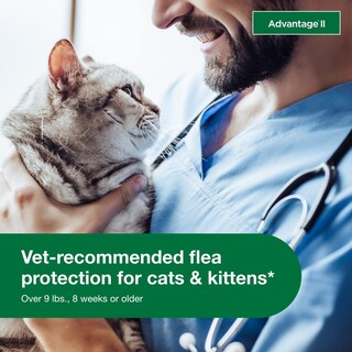 Foto 4 | Foto 4 | Tratamiento Y Prevención De Pulgas Advantage Ii Para Gatos Grandes De 9 Libras O Más - Venta Internacional.