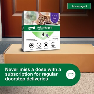 Foto 7 | Foto 7 | Tratamiento Y Prevención De Pulgas Advantage Ii Para Gatos Grandes De 9 Libras O Más - Venta Internacional.