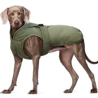 Foto 1 | Foto 1 | Abrigo De Invierno Kuoser Canvas Warm Reflective Para Perros - Venta Internacional.