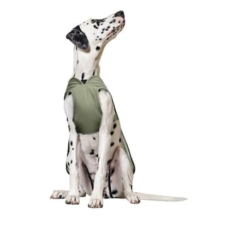 Foto 7 | Foto 7 | Abrigo De Invierno Kuoser Canvas Warm Reflective Para Perros - Venta Internacional.