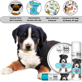 Foto 6 | Foto 6 | Boo Boo Butter The Blissful Dog Greater Swiss Mountain Dog - Venta Internacional.