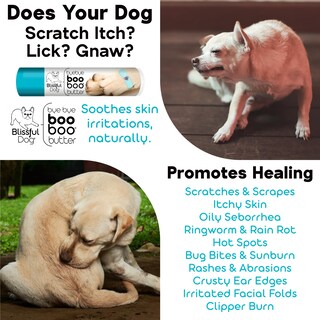 Foto 4 | Foto 4 | Bichón Friso Boo Boo Butter The Blissful Dog 30 Ml - Venta Internacional.