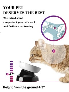 Foto 3 | Foto 3 | Cuenco De Comida Para Gatos Slow Feeder Y Yhy Diseño De Cerámica Con Forma De Gato - Venta Internacional.