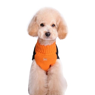 Foto 2 | Foto 2 | Pet Clothes Bobibi Suéter De Halloween Con Forma De Calabaza Para Gato Y Perro - Venta Internacional.