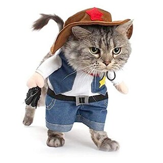 Foto 1 | Foto 1 | Disfraz De Vaquero Nacoco Para Perro Y Gato En Halloween Talla M - Venta Internacional.