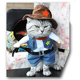 Foto 3 | Foto 3 | Disfraz De Vaquero Nacoco Para Perro Y Gato En Halloween Talla M - Venta Internacional.