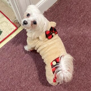 Foto 4 | Foto 4 | Pijama Para Perro Kyeese Diseño De Reno Navideño A Cuadros Rojos Tamaño Pequeño - Venta Internacional.