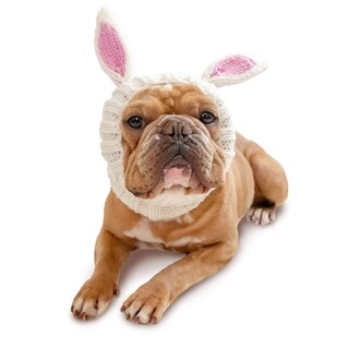 Foto 5 | Foto 5 | Costume Zoo Snoods Tejido Con Forma De Conejo Para Perros De Pascua Para Mascotas - Venta Internacional.