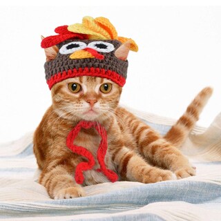 Foto 6 | Foto 6 | Disfraz De Mascota Legendog Turkey Hat Thanksgiving Para Gato Y Perro - Venta Internacional.