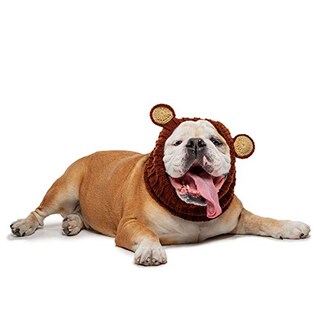 Foto 6 | Foto 6 | Disfraz De Perro Zoo Snoods Oso Pardo Sin Solapa - Venta Internacional.
