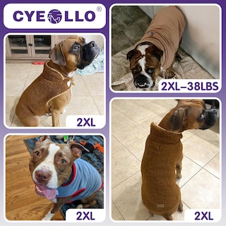 Foto 5 | Foto 5 | Chaqueta De Invierno Reversible Dog Coat Cyeollo Para Perros Medianos Color Azul - Venta Internacional.
