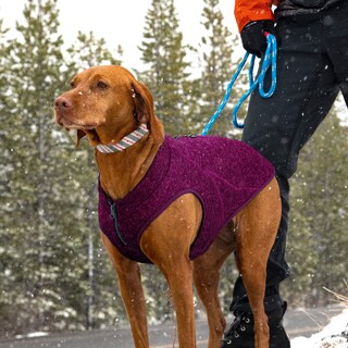 Foto 5 | Foto 5 | Jersey Para Perro Kurgo Core Con Forro Polar Para Clima Frío Talla Xs - Venta Internacional.