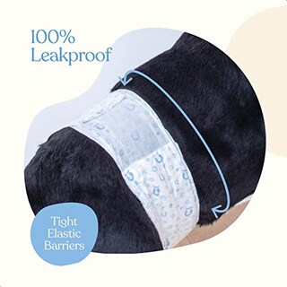 Foto 4 | Foto 4 | Pañales Para Perros Pitpet Superabsorbentes Desechables  Paquete De 50 - Venta Internacional.