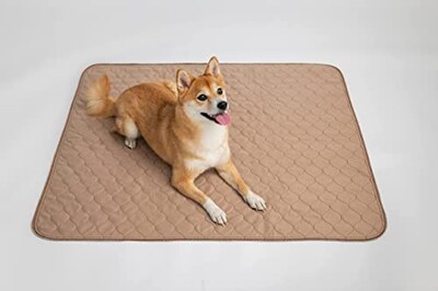 Foto 5 | Foto 5 | Almohadillas Reutilizables Para Orinar Para Perros Ezwhelp Impermeables Para Entrenamiento De Cach - Venta Internacional.