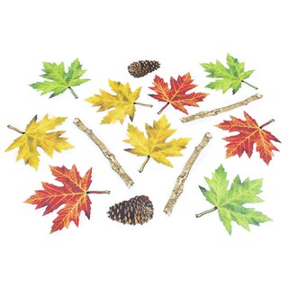 Foto 3 | Foto 3 | Pegatinas Junior Learning Jl655 Nature Trail Multicolor - Venta Internacional.