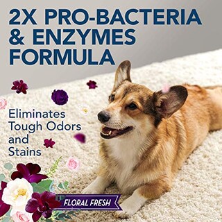 Foto 2 | Foto 2 | Quitamanchas Y Olores Para Mascotas Solución Simple 3.78 L Sin Flores - Venta Internacional.