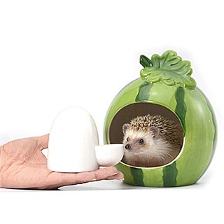 Foto 7 | Foto 7 | Botella Silenciosa De Cerámica Dahey Con Alimentador De Agua Para Mascotas Pequeñas - Venta Internacional.