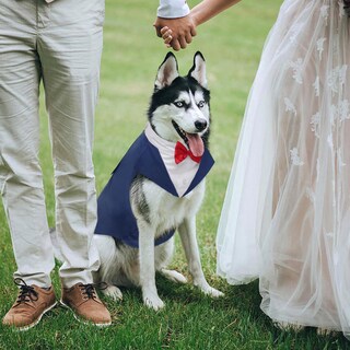 Foto 5 | Foto 5 | Set De Traje De Esmoquin Y Pañuelo Kuoser Para Perros Grandes - Venta Internacional.