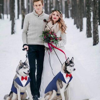 Foto 6 | Foto 6 | Set De Traje De Esmoquin Y Pañuelo Kuoser Para Perros Grandes - Venta Internacional.