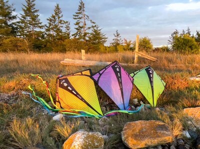 Foto 7 | Foto 7 | Kite Prism Kite Technology Vertex High Flying Diamond Con Cola - Venta Internacional.