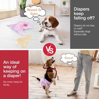 Foto 4 | Foto 4 | Dog Suspenders Pet Soft Pañales Keeper Para Perra Hembra - Venta Internacional.