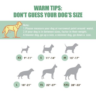 Foto 3 | Foto 3 | Pañales Para Perros Wegreeco Jeans Lavables Para Hombre (paquete De 3) - Venta Internacional.