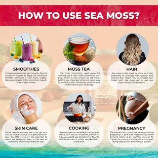 Foto 4 | Foto 4 | Sea Moss Gel Wellness Labsrx Frambuesa Cruda Orgánica 300 Ml - Venta Internacional.