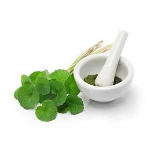 Foto 3 | Foto 3 | Polvo De Centella Asiática Orgánico En Miniatura 227 G (1/2 Kg) Memory Vegan - Venta Internacional.