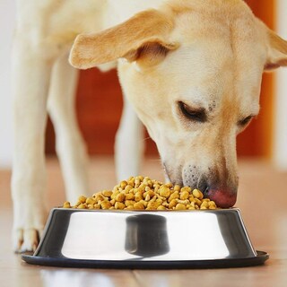 Foto 3 | Foto 3 | Cuenco Para Perros Mlife De Acero Inoxidable Con Base De Goma 240 Ml (juego De 2) - Venta Internacional.