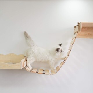 Foto 4 | Foto 4 | Hamaca De Pared Cat Bridge Yiotl Con Estante De Madera - Venta Internacional.