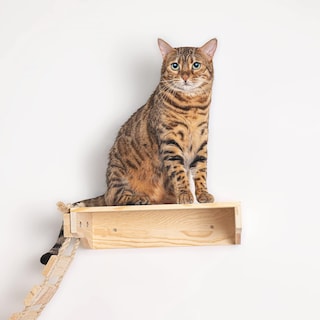 Foto 5 | Foto 5 | Hamaca De Pared Cat Bridge Yiotl Con Estante De Madera - Venta Internacional.