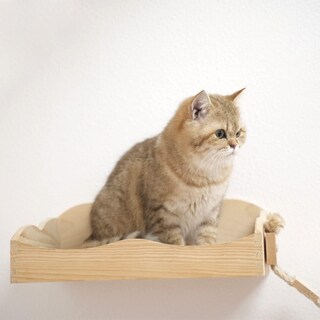 Foto 6 | Foto 6 | Hamaca De Pared Cat Bridge Yiotl Con Estante De Madera - Venta Internacional.