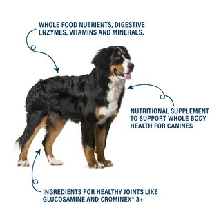 Foto 5 | Foto 5 | Suplemento 360 Pet Nutrition Canine Superfood Boost Blend - Venta Internacional.
